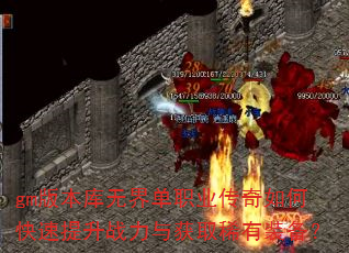 gm汾޽絥ְҵοսȡϡװ