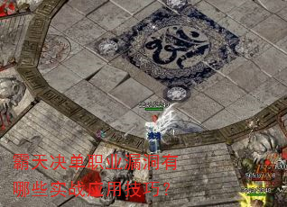 ְҵ©ЩʵսӦüɣ