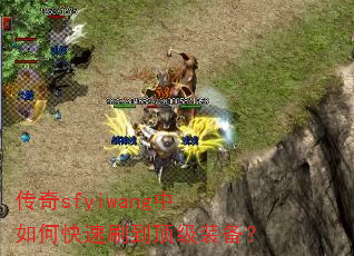 sfyiwangοˢװ