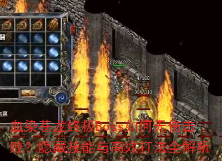 ѪȾռBoss˻ܣؼЧȫ