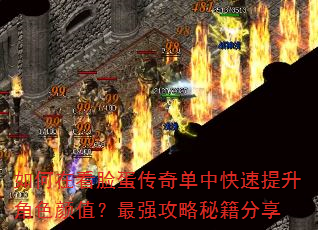ڿ浥пɫֵǿؼ