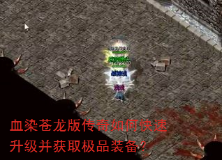 ѪȾ洫οȡƷװ