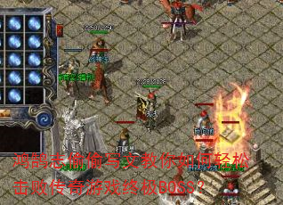 ־͵͵дĽɻܴϷռBOSS