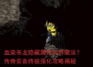 ѪȾμװռǿԽ
