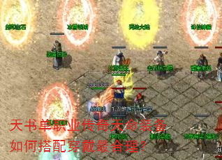 鵥ְҵװδ䴩