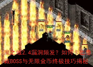 ħ֮2.4©ƵοBOSS޽ռɽ
