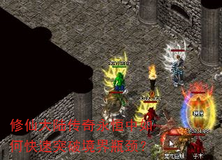 ɴ½οͻƾƿ