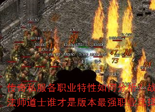 ˽ְҵηսʿʦʿ˭ǰ汾ǿְҵѡ