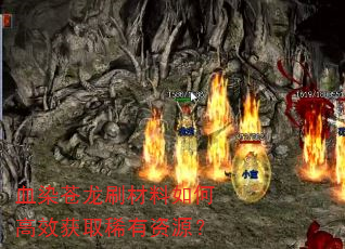 ѪȾˢθЧȡϡԴ