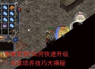汦FοЧɴ