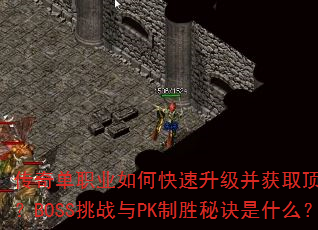 浥ְҵοȡװBOSSսPKʤؾʲô
