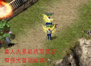 ˹ĹղǷǿ