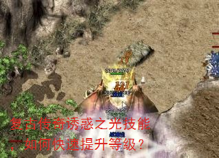 Ŵջ֮⼼ܣοȼ