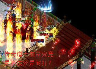 ʿѪǴƤʹ