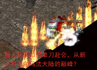 ɢεᣬִ귨½۷壿