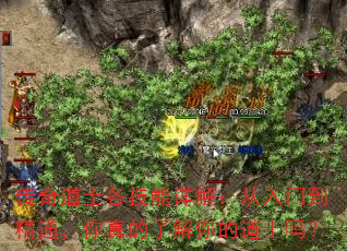 ʿ⣺ŵͨ˽ĵʿ