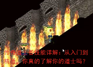 ʿ⣺ŵͨ˽ĵʿ