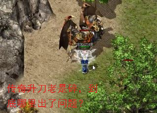 飬⣿