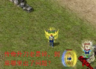 飬⣿
