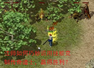 ʦüܿƴʿӮʤ