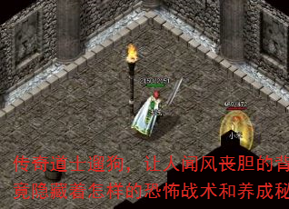 ʿ޹ŷɥı󣬾Ŀֲս