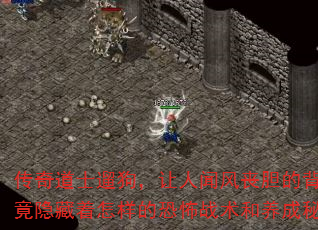 ʿ޹ŷɥı󣬾Ŀֲս