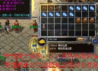 ʿ޹ŷɥı󣬾Ŀֲս