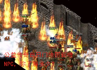 洫ŵͼNPC˽٣