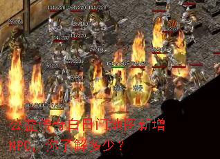 洫ŵͼNPC˽٣