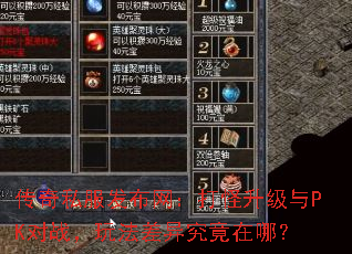 ˽PKս淨쾿ģ