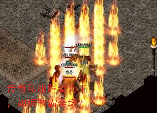 ˽ʤΪưȫ