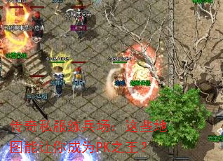 ˽ЩͼΪPK֮