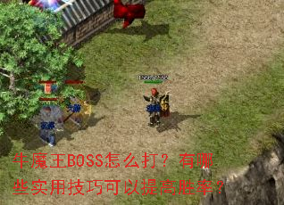 ţħBOSSôЩʵüɿʤʣ