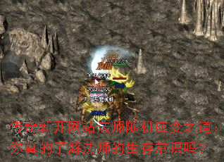 ¿վʦӦ֮˽ⷨʦ泣ʶ