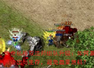 ˽˫ʦμ棬ѪΣ