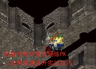 ѪSFPKοʵսɣ