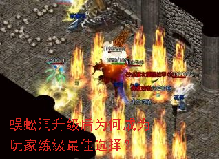 򼶴ΪγΪѡ