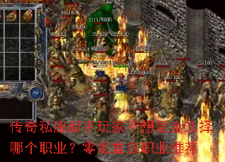 ˽Ҳ봽ѡĸְҵѡְҵƼ