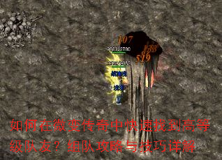 ΢䴫пҵߵȼѣӹ뼼