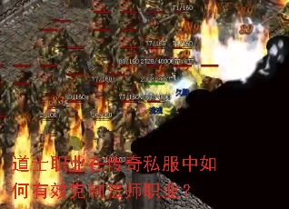 ʿְҵڴ˽ЧƷʦְҵ
