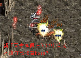 ڴеͳɱظboss