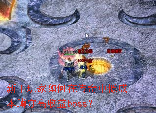 ڴеͳɱظboss