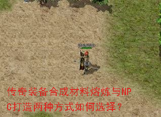 װϳɲNPCַʽѡ