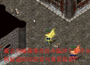 ҶЩ壿ζBOSSͻϮ붾Ϯ