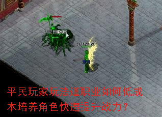 ƽ淨ְҵεͳɱɫս