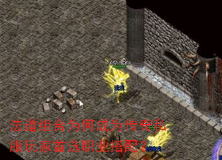 ΪγΪ˽ѡְҵ䣿