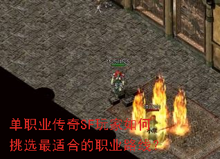 ְҵSFѡʺϵְҵ·ߣ