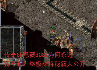SFBOSSΪԶҲռƽؼ󹫿