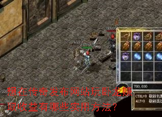 想在传奇发布网站玩卧龙赚取收益有哪些实用方法? 想在传奇发布网站玩卧龙赚取收益有哪些实用方法?