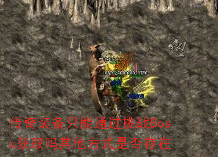 传奇装备只能通过挑战Boss获取吗其他方式是否存在 传奇装备只能通过挑战Boss获取吗其他方式是否存在